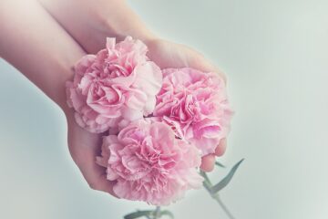Sklep florystyczny: Twoje miejsce inspiracji i potrzeb w świecie kwiatów